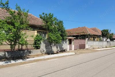 Vand proprietate in Miersig, jud.Bihor, la aproximativ 20 km de Oradea. - 5
