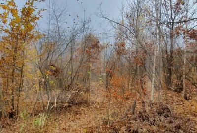 Teren de 3000 mp, în Mănăștur - 2