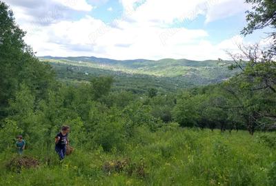 Casă cu 6 camere în Podu Lacului - 4