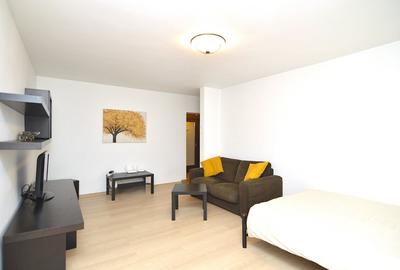 Garsonieră decomandată, mobilată în Unirii - 8