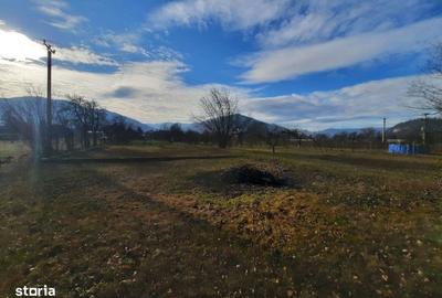 Casă cu 4 camere cu Teren 5500 Mp în Central - 7