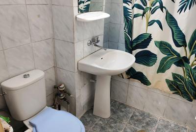 Apartament cu 2 camere decomandat, mobilat în P-ța Mihai Viteazu - 14