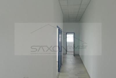 Hala depozitare sau productie   Drumul intre Tarlale,  600MP - 19