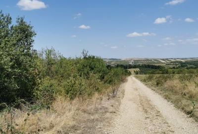 Teren intravilan de vanzare, 3.500 mp, cu front stradal de 21,5 ml - 3