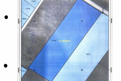 Superb Teren 10.000mp | deschidere 57ml | utilitati - 7