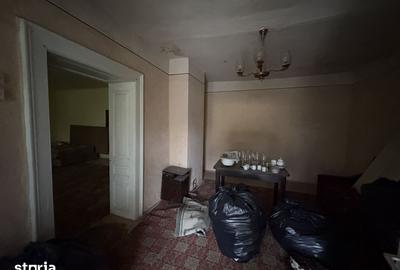 Casă cu 4 camere cu Teren 3767 Mp în Borș - 9