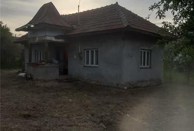 Casă cu 2 camere în Zătreni - 6