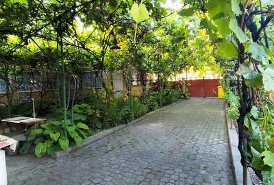 Casă cu 6 camere în Sintea Mare - 2