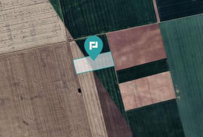 Teren agricol extravilan de 43800 mp, în Șimand