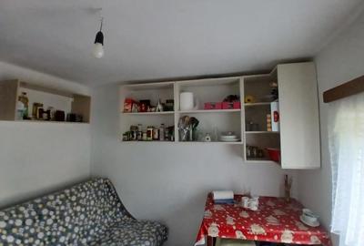 Casă cu 6 camere cu Teren 1600 Mp în Siliștea - 9