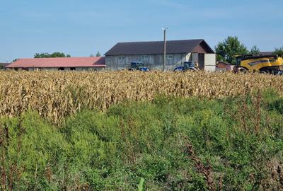 Vanzare teren construibil - 5