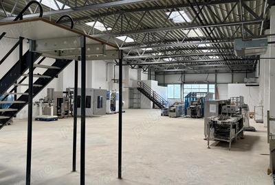 Hala 7.646 mp + teren 35.092 mp + 1MW energie Valu lui Traian - 1