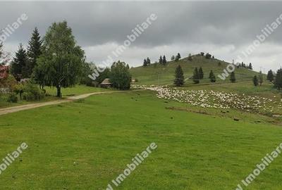 De vanzare teren intravilan 673 mp in Paltinis - 4