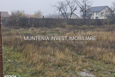 Teren de 935 mp, în Moșoaia - 4