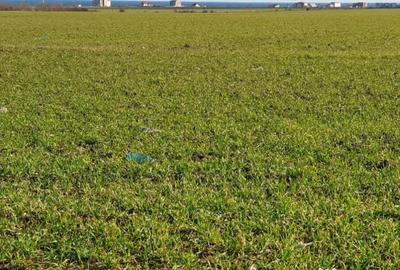 Teren de 7000 mp, în Central - 3