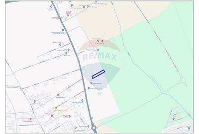 Teren 2464 mp, Sanmartin, proximitate Str. Nufarului, front 21,35 m - 2