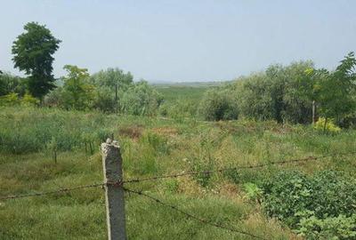 CASLITA- TEREN 1629 MP, IESIRE LA BALTA CASLA - 4