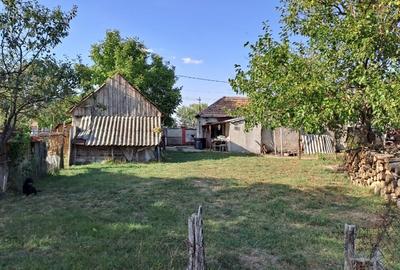 Teren intravilan Les/Bihor - 5