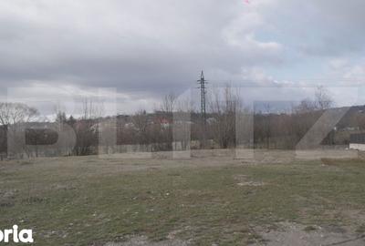 Teren de 3470 mp, în Ocnița - 5