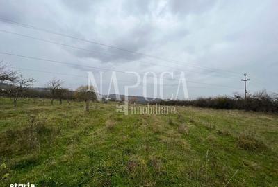 Spațiu comercial, în Feleacu - 1