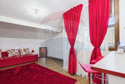 Apartament cu 2 camere semidecomandat, mobilat în Dobroești - 5