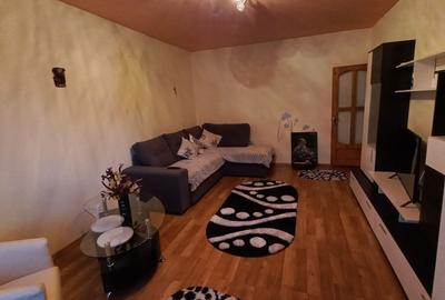 Apartament cu 2 camere decomandat în Lacu - 2