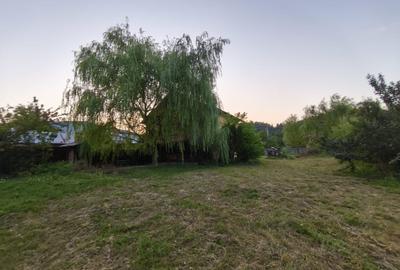 CASA  DE VACANTA - 19