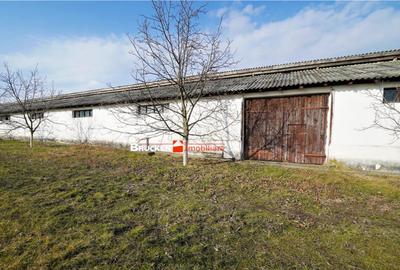 MICRO-FERMA CASA IN VOIVOZI - BIHOR - 17