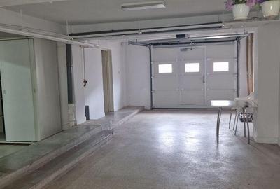 Coiciu, o vila construita pe cadre de beton, bine compart... - 11