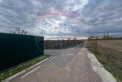 Teren Construcții intravilan de 2727 mp, în Cârligele - 1