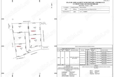Ultimele 2 loturi intravilan Dume?ti Hoise?ti, la doar 12 km de Ia?i - 1