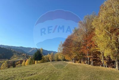 Oportunitate de investitie ! Teren de vis in Pestera - ... - 6