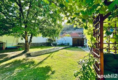 Casa de vanzare in Marginimea Sibiului, sat Talmacel - 1