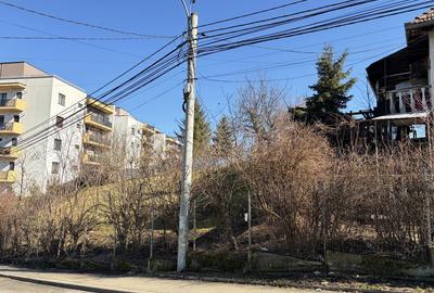 Spațiu comercial, în Bună Ziua - 2