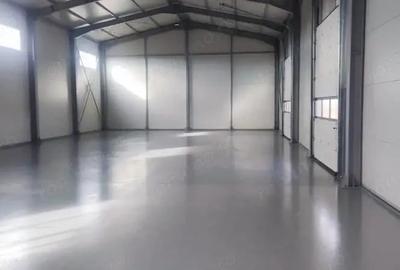 Hala 250 mp noua Ciorogarla ( Autostrada A 1 ) - 8