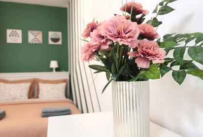 Garsonieră decomandată, mobilată în Băneasa - 5