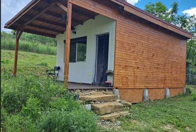 Casă cu 1 camere cu Teren 1200 Mp în Micești - 12