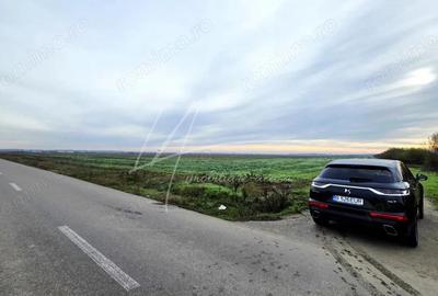 Teren intravilan curti-constructii, industrial, Autostrada A1 - km 62 - 19