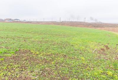 CERNICA - POSTA - TEREN INTRAVILAN CONSTRUCTII 15000 MP! - 8