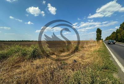 Teren extravilan de vanzare | 9882mp | Berceni - Prahova ... - 3