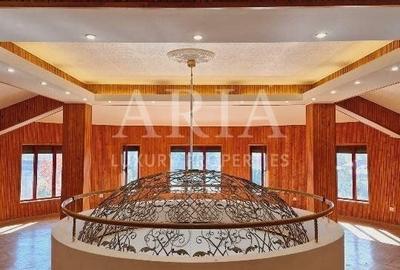 VANZARE VILA | HALA IN VLADICEASCA | SNAGOV | 10.500 MP TEREN - 10