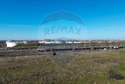 Teren industrial de vanzare, zona Poarta 7, Constanta - 6
