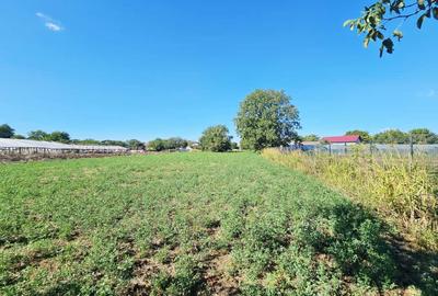 Teren intravilan 1.585 mp, cu utilități la hotar –Gherghița–Ungureni - 7