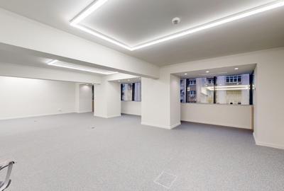 Calea Victoriei - Piata Victoriei - Birouri de inchiriat - 4