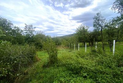 OCAZIE! Casa cu teren central Rasinari toate utilitatile la poarta - 9