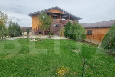 Proprietate multifunctionala,VILA,Teren 28000 mp+afacere pis - 7