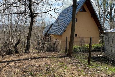 Teren Construcții intravilan de 1400 mp, în Breaza - 10