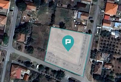 Teren intravilan, comuna Macea, Arad-1490 mp. Teren intravilan, comuna Macea, Arad-1490 mp. - 1