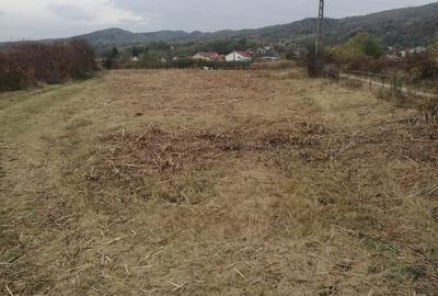 Spațiu comercial, în Copăcelu - 5