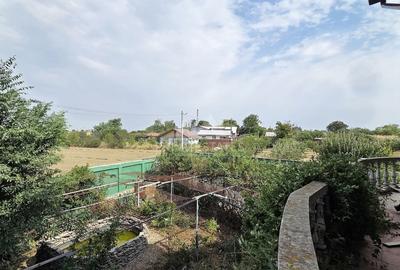 Vanzare vila P+1+M  Sinesti Ialomita  Balta Mostistea - 23